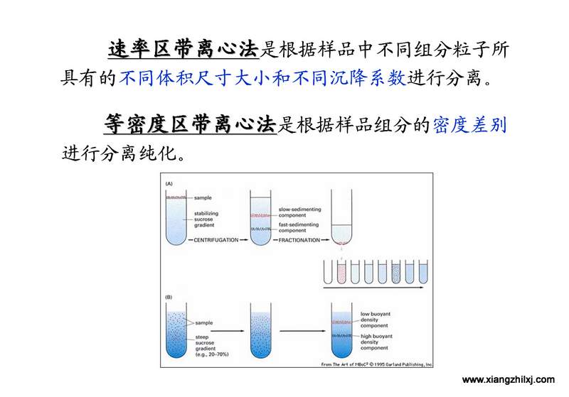离心机知识图解大全