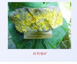 没有离心机，第一颗原子弹的铀从哪里来？