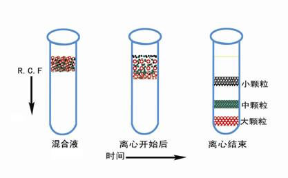 医用离心机常用的离心方法