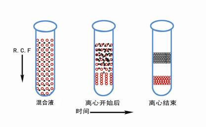 医用离心机常用的离心方法