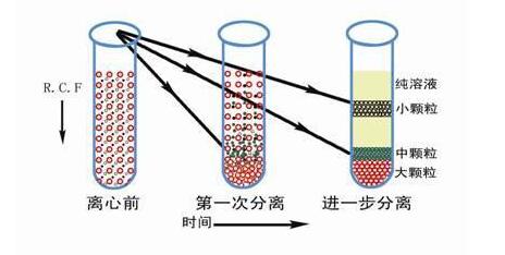 医用离心机全知道